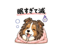 843562639