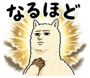 843562795