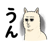 843562796
