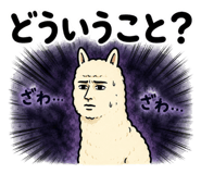 843562798