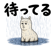 843562808