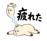 843562812