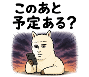 843562821