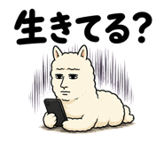 843562822