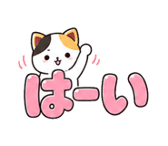 843562877