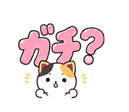 843562891