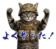 843563223