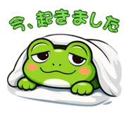 843563241