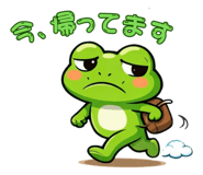 843563246