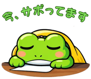 843563248