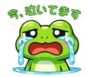 843563253
