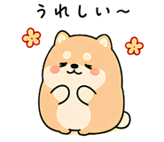 843563437