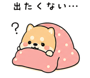 843563440