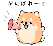 843563446