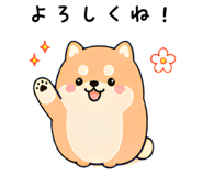 843563449