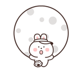 843563727