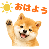 843563825