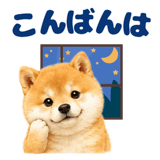 843563827