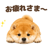 843563828