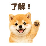 843563830