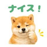 843563832