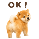 843563834