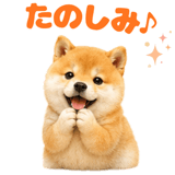 843563835