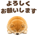843563840