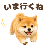 843563841