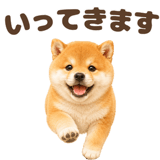 843563843
