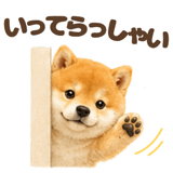 843563844
