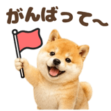 843563846