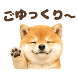 843563850