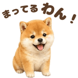 843563853