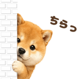 843563857