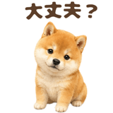 843563858