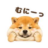 843563859