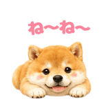 843563862