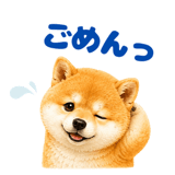 843563863