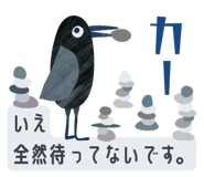 843563934