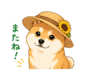 843563988