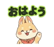843564353