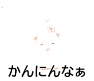 843564404