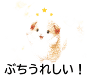 843564491