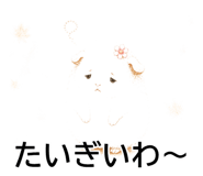 843564493