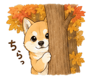 843564508