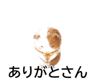 843564553