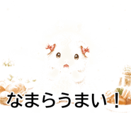 843564555