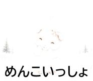 843564556