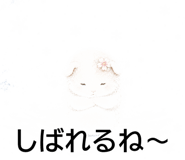 843564557